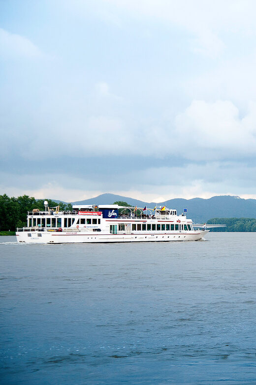 Bonn: Evening Sightseeing Cruise on the Rhine River - Why This Cruise Offers Value