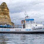 Boomshaka Kayak Tour - What’s Included and What to Expect