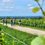 Bordeaux Backcountry E-Bike Tour with Lunch & Wine Tasting - The Experience in Detail
