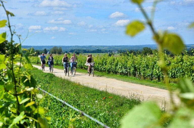 Bordeaux Backcountry E-Bike Tour with Lunch & Wine Tasting - The Experience in Detail