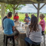 Bordeaux by Gravel Bike : Monumets, vineyards & wine tasting - Who This Tour Is Perfect For