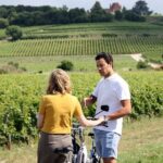 Bordeaux Full Day Wine and Bike Tour - Visiting Wineries and Tasting Experiences