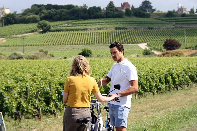 Bordeaux Full Day Wine and Bike Tour - Visiting Wineries and Tasting Experiences