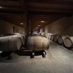 Bordeaux: Graves, Pessac-Léognan, and Sauternes Vineyards - Itinerary Breakdown