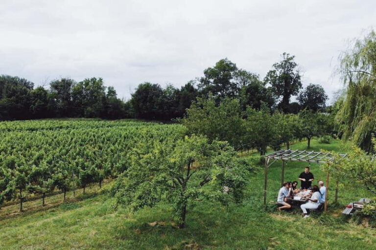Bordeaux: Half-Day Private Natural Wine Tour & Tasting - The Itinerary in Detail