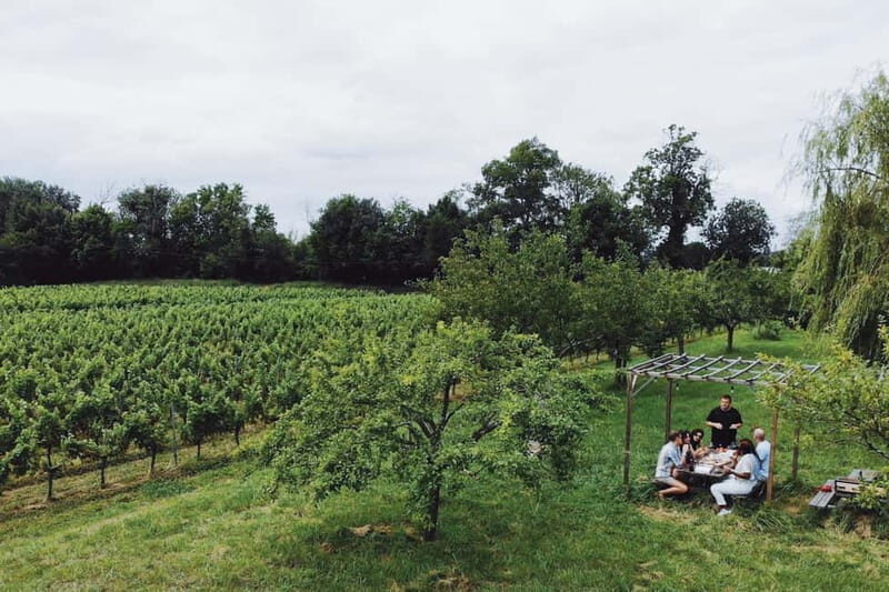 Bordeaux: Half-Day Private Natural Wine Tour & Tasting - The Itinerary in Detail
