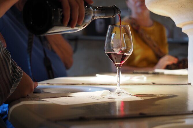 Bordeaux in a Day City and Chateau Visit Shared Walking Tour - How the Tour Draws Its Value