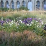 Bordeaux : see the whole city by bike - Who Is This Tour Best Suited For?