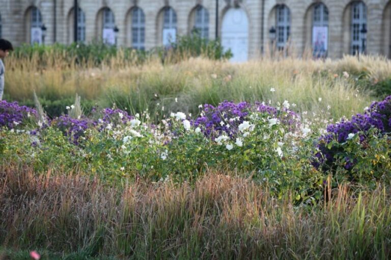 Bordeaux : see the whole city by bike - Who Is This Tour Best Suited For?