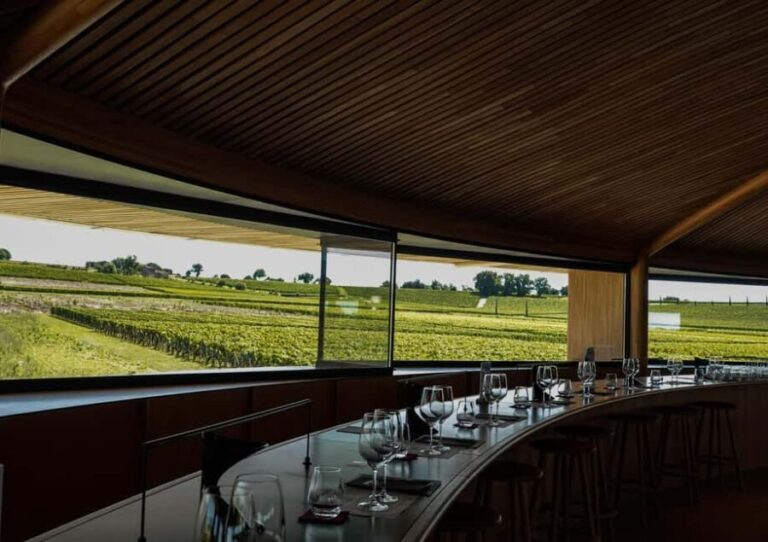 Bordeaux: St. Emilion Wine and E-Bike Tour with Lunch - What’s Included and What to Consider