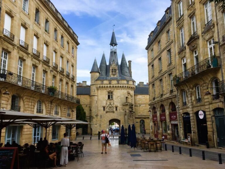 Bordeaux: Tour with Private Guide - Exploring Bordeaux’s Historic Streets and Architectural Gems
