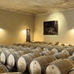 Bordeaux : Unforgettable Saint Emilion Half Day Wine Tour - Authentic Experiences from Reviewers