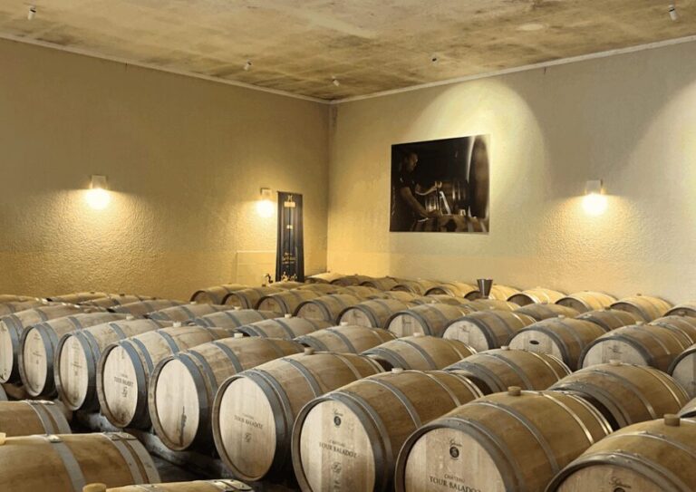 Bordeaux : Unforgettable Saint Emilion Half Day Wine Tour - Authentic Experiences from Reviewers