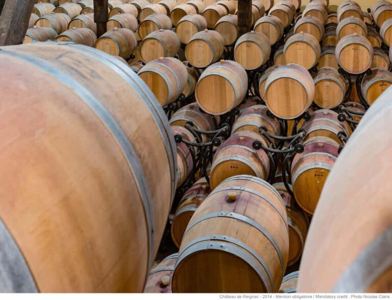 Bordeaux: Visit to Château de Reignac and prestige tasting - Exploring the Château de Reignac Experience