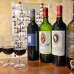Bordeaux wine: tasting class 4 red wines pairing charcuterie - The Flavour of Bordeaux in a Glass