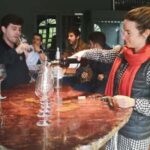 Bordeaux wine tour: 2 wineries & wine tastings (red & white) - Who Should Take This Tour?
