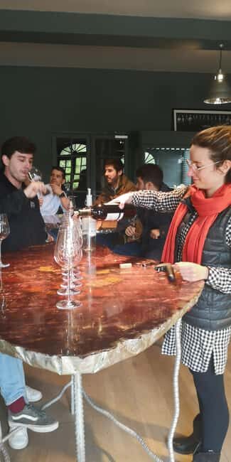 Bordeaux wine tour: 2 wineries & wine tastings (red & white) - Who Should Take This Tour?