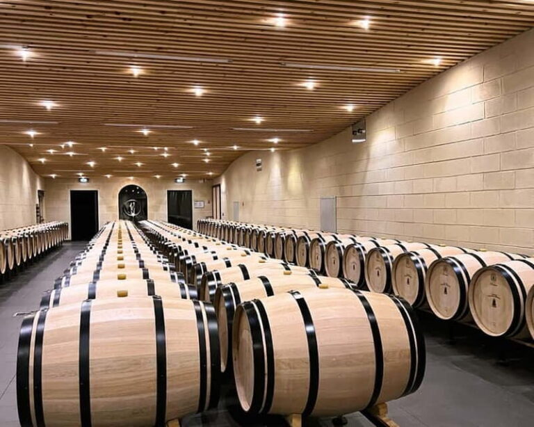 Bordeaux: Wine Tour with blending workshop full day - Why This Tour Works for Different Travelers