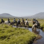 Borgarnes: Horseback Riding Tour with Prep Lesson - The Ride and Scenic Highlights