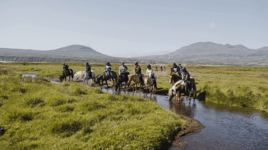 Borgarnes: Horseback Riding Tour with Prep Lesson - The Ride and Scenic Highlights