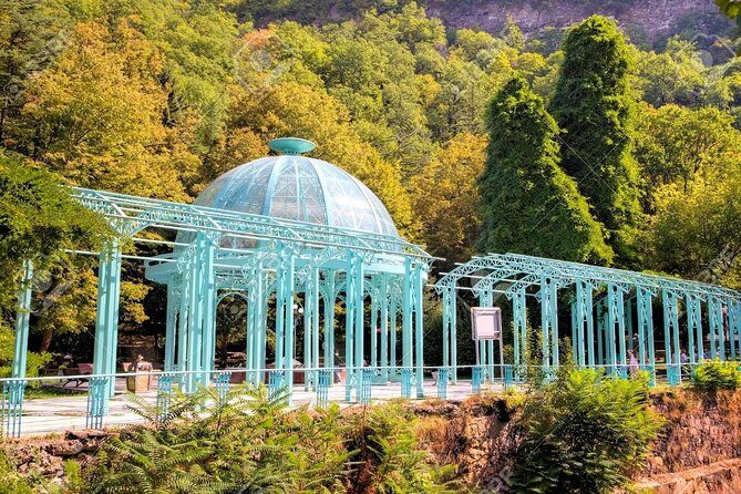 Borjomi National Park Full Day Private Tour From Tbilisi - Who is This Tour Best For?