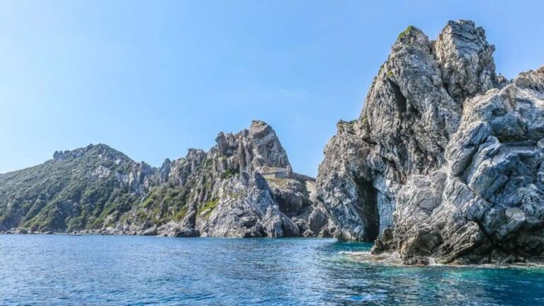 Bormes-les-Mimosas: Hybrid boat trip to Porquerolles Island - FAQ