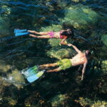 Bormes-les-Mimosas: snorkeling trip - The Value of the Experience