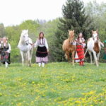 Borovets: Horse Riding Experience - Practical Details and Value