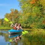 Bosa: Temo River Kayak Rental - The Practicalities: Price, Duration, and Group Size