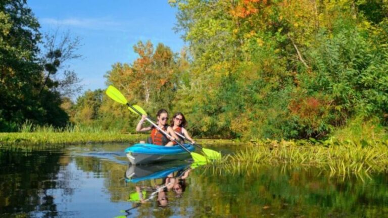 Bosa: Temo River Kayak Rental - The Practicalities: Price, Duration, and Group Size