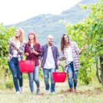 Boscotrecase: Vesuvius Wine Tasting Tour With Lunch - In-Depth Review of the Vesuvius Wine Tasting Tour