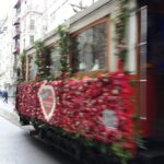 Bosphorus Cruise, Dolmabahce, Istiklal Street, Galata Tour - What’s Included and What’s Not