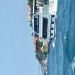 Bosphorus Cruise With Dolmabahçe Palace and Fortresses - Who Should Consider This Tour?