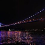 Bosphorus Dinner Cruise & Turkish Night Show (All Inclusive) - Dive Into the Experience: A Detailed Look