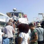Bosphorus Sightseeing Boat Tour - What Travelers Are Saying