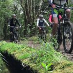 Botanical Trails of Madeira. Mountain biking Trail Experience - Authentic Insights from Reviews