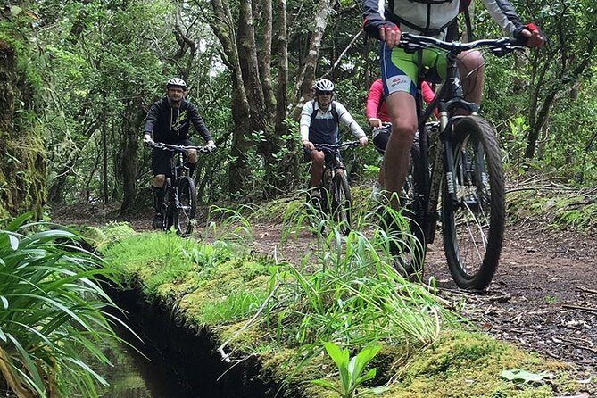 Botanical Trails of Madeira. Mountain biking Trail Experience - Authentic Insights from Reviews