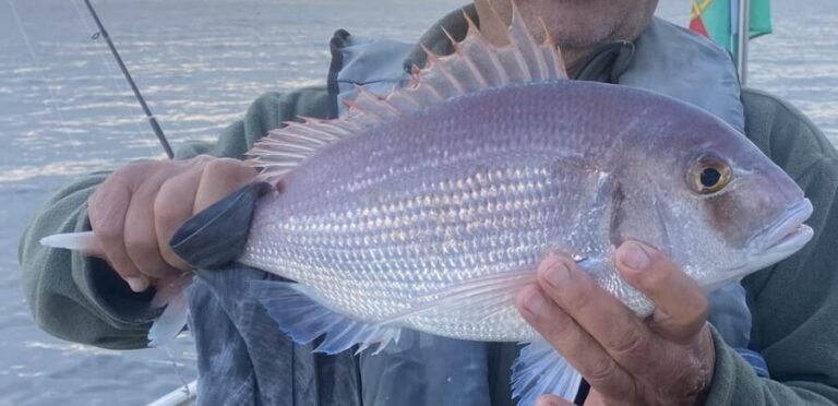 Bottom Fishing Lagos - Key Points