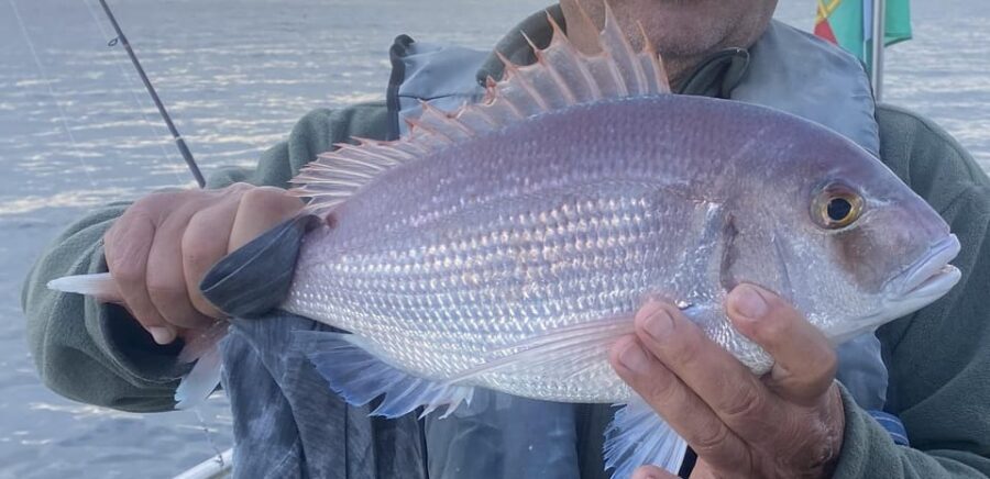 Bottom Fishing Lagos - Key Points