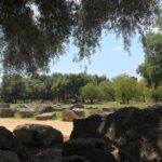 Boutique Expedition-Small Group, Olympia, Wine & Oil Taste - Why This Tour Offers Real Value