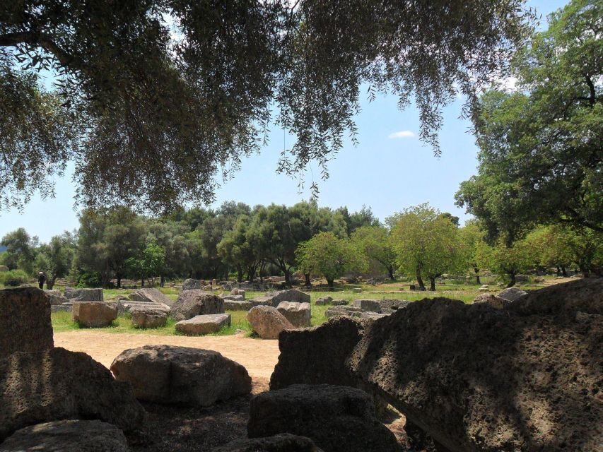 Boutique Expedition-Small Group, Olympia, Wine & Oil Taste - Why This Tour Offers Real Value