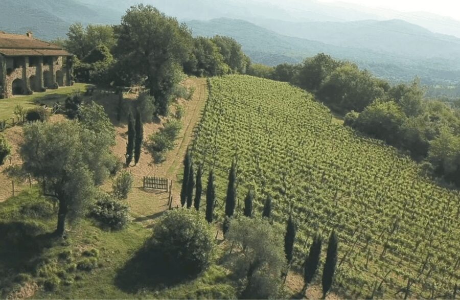 Boutique Winery Tour & Tasting in North Tuscany - What Makes This Tour Stand Out?