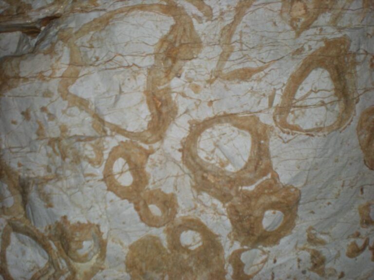 Bovec: Mountain Caving Adventure - Practical Details and What’s Included