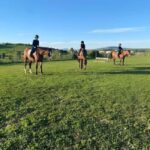 Bracciano: Horseback Ride in the Tolfa Mountains - Who It’s Best For