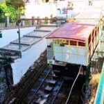 BRAGA AND GUIMARÃES: Private Historic Tour from Porto - Who Will Love This Tour?