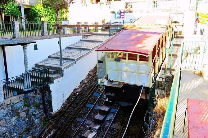 BRAGA AND GUIMARÃES: Private Historic Tour from Porto - Who Will Love This Tour?