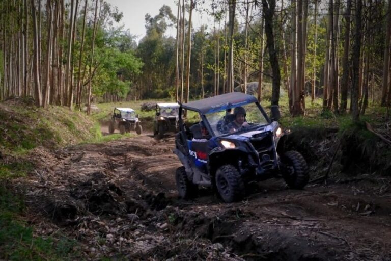 Braga: off-road buggy tour - The Practicalities: What You Need to Know