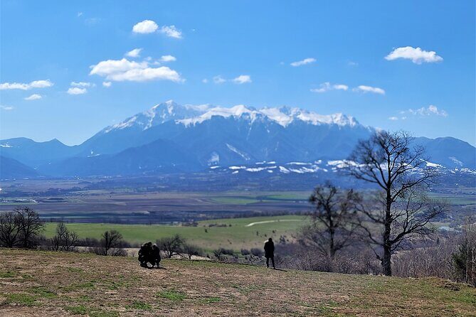 Bran Castle & Bear Sanctuary from Brasov - Optional Peles Castle - Who Should Choose This Tour?