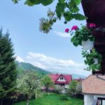 Bran: Rural Tour with Local Food & Accommodation in imon - The Sum Up