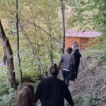 Braov: 4-Hour Bear Watching Tour in Carpathian Mountains - Wildlife Encounters and Other Animals
